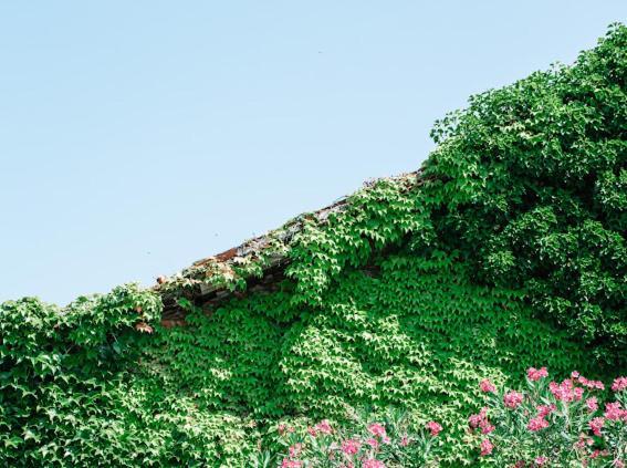 La Barchessa Bed & Breakfast Corva Exterior photo