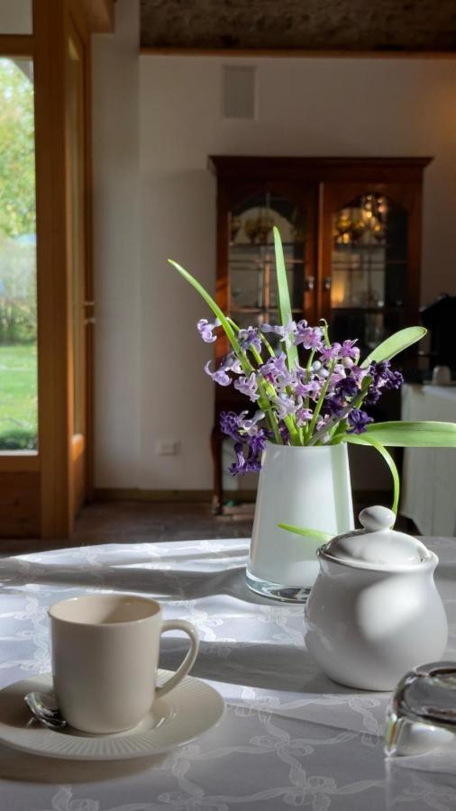 La Barchessa Bed & Breakfast Corva Exterior photo